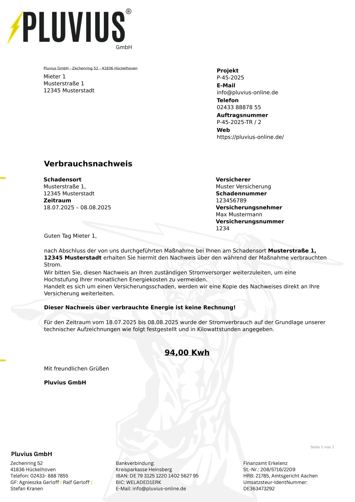 PDF-Vorlage: Einzelverbrauch Projektkopf kompakt