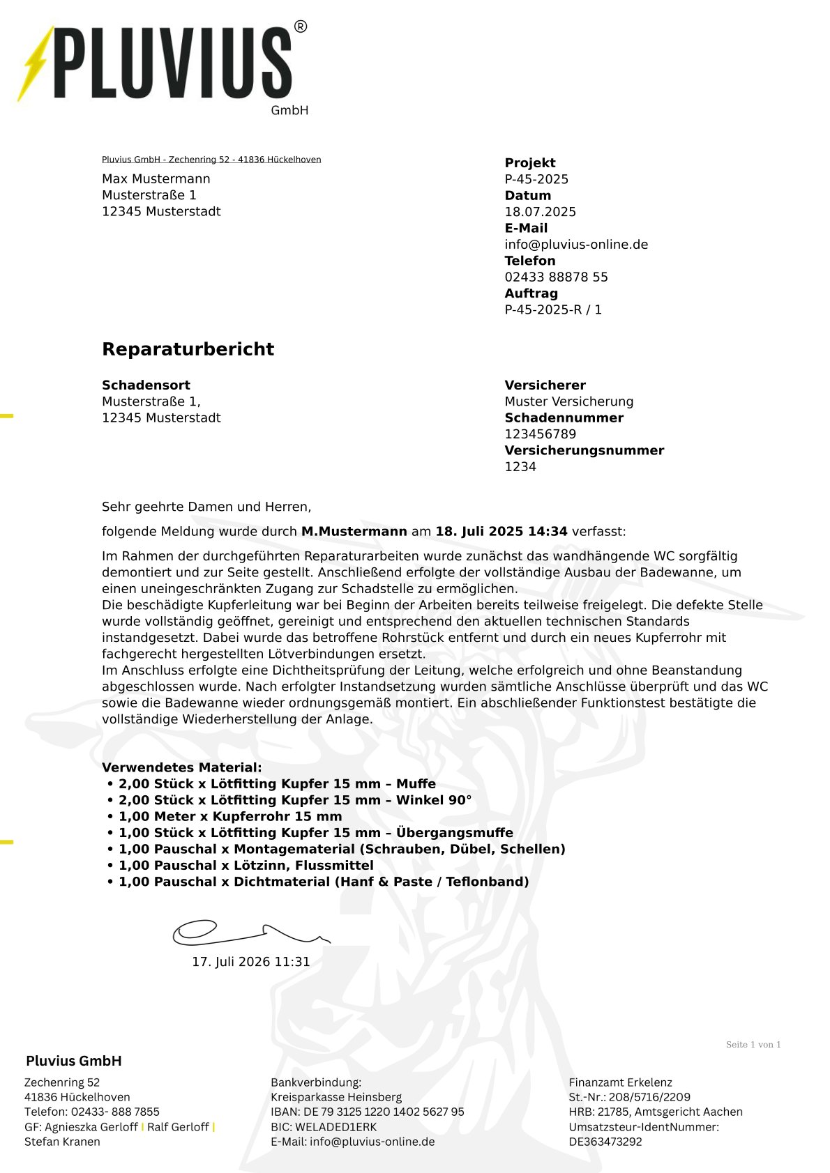 PDF-Vorlage: Reparaturbericht Projektkopf kompakt